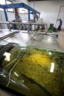 Ayrıntı zeytinyağı üretim hattı, zeytin hamur freze sonra petrol santrifüj ayıklama önce