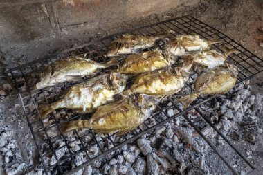 Grill lezzetli Adriyatik deniz balığı pişirme