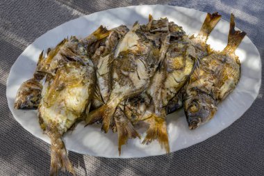 Plaka taze ızgara beyaz Adriyatik balığı ile dolu 
