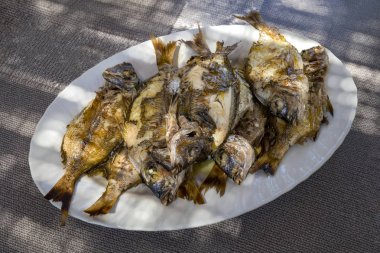 Plaka taze ızgara beyaz Adriyatik balığı ile dolu 