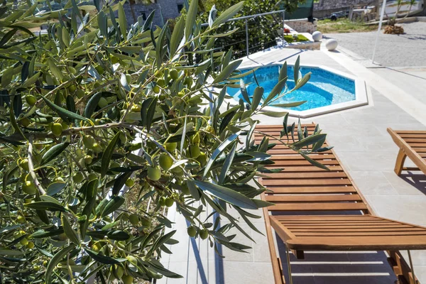 Sedia Sdraio Legno Vicino Alla Piscina Nel Cortile Degli Ulivi — Foto Stock