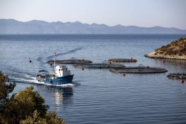 Balıkçı teknesi balık çiftliğinde Hırvatistan Island Brac erken sabah