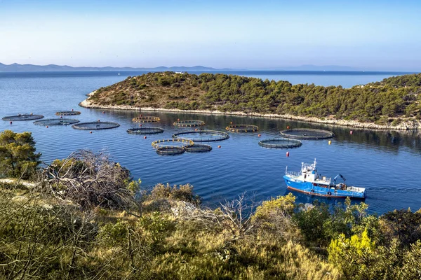 Fishing Boat Fish Farm Early Morning Island Brac Croatia — Stock Photo, Image