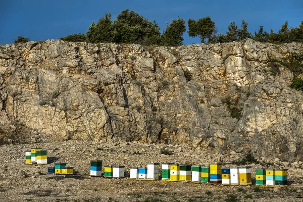 Honung Färgglada Bikupor Rad Naturen Brac Kroatien — Stockfoto