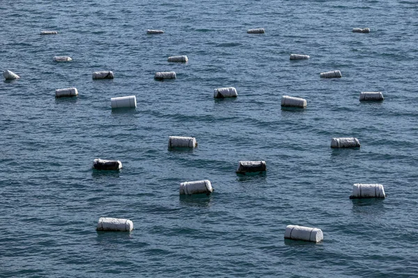 克罗地亚亚得里亚海牡蛎生产用的浮标 — 图库照片
