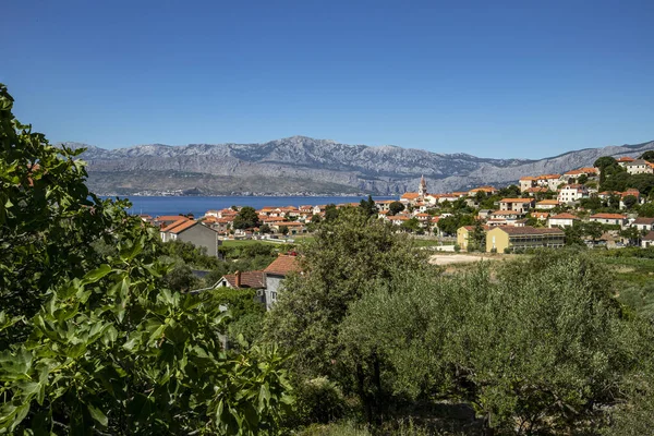 Techos Rojos Del Pueblo Postira Isla Brac Croacia Con Higueras — Foto de Stock