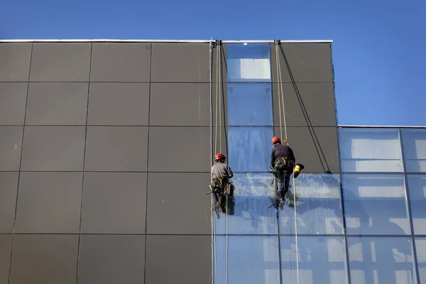 Dois Trabalhadores Limpando Fachada Vidro Pendurado Corda Como Alpinista Lavagem — Fotografia de Stock