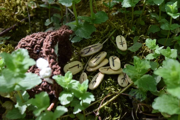 Runes Bois Dans Une Forêt — Photo