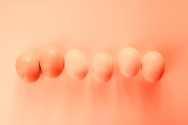 Mercan Paskalya Paskalya yumurtaları ile arka plan. Bahar ve Paskalya tatil kavramı kopya alanı ile. Minimalist tasarım.