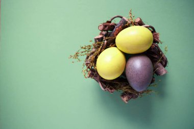 Açık yeşil arka planı üzerinde yuva renk yumurtalar. Bahar ve Paskalya tatil kavramı kopya alanı ile.