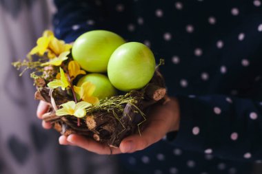 Kız ellerinde yuvadaki yumurta.