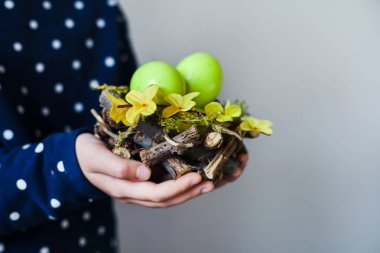Kız ellerinde yuvadaki yumurta.