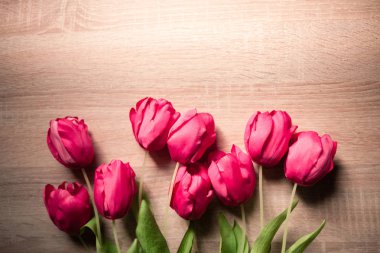 Lale ile bahar ve Paskalya tatili arka plan.