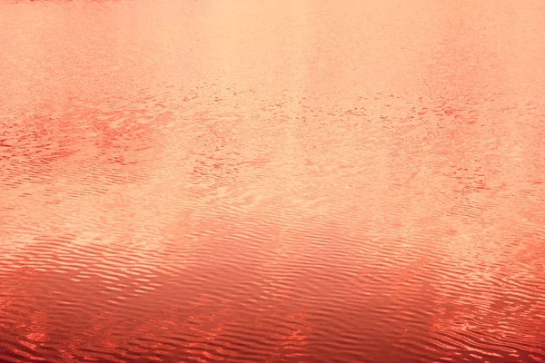 Reflejo de agua en Living Coral desde la vista inferior . — Foto de Stock