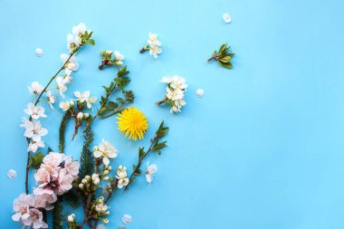 Mavi arka planda çiçek li ağaç dalları.