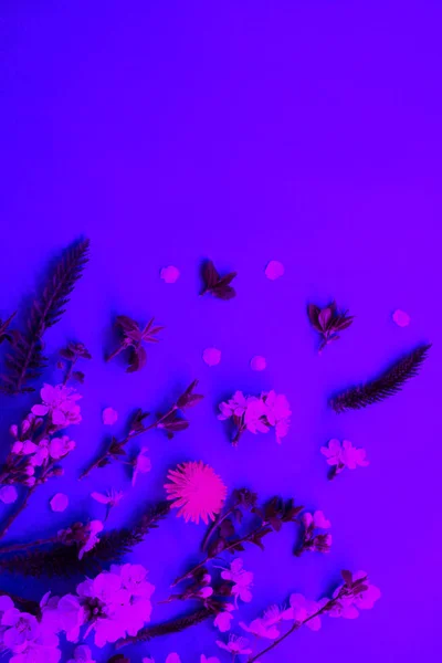 Äste mit Blumen auf dem Neon-Hintergrund. — Stockfoto