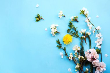 Mavi arka planda çiçek li ağaç dalları.