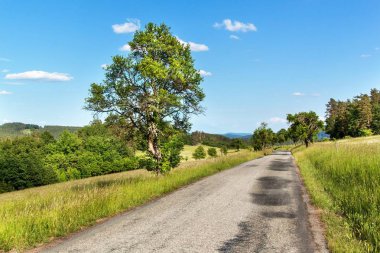 Çek Cumhuriyeti'nde kırsalında eski asfalt yol. Terk edilmiş yol. Yaz günü yolda