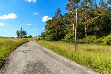 Çek Cumhuriyeti'nde kırsalında eski asfalt yol. Terk edilmiş yol. Yaz günü yolda