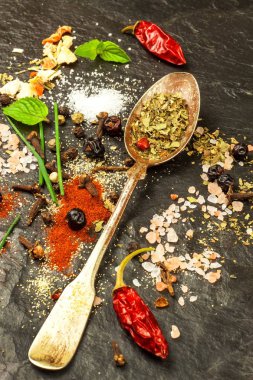 Baharat kayrak plaka üzerinde farklı türleri. Baharat satışı. Baharatlı gıda hazırlanması. Reklam baharat satıcı