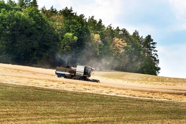 ハーベスタは チェコ共和国で穀物を収穫しました 農業機械 夏の農作業 — ストック写真