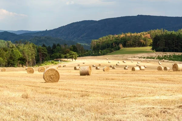 Straw Bales Field Forest Summer Day Farm Czech Republic Harvest — Stock Photo, Image