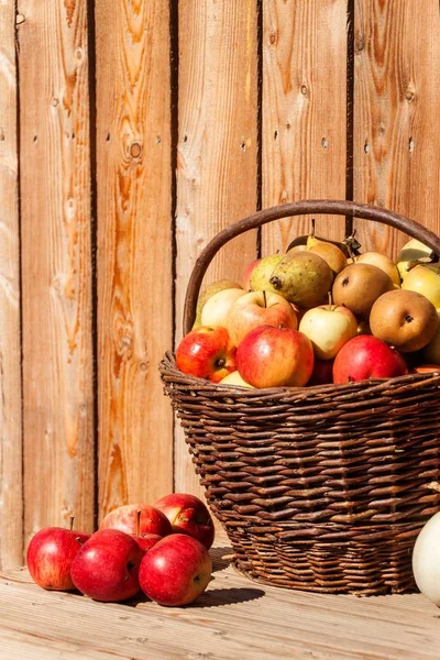 Cesta Mimbre Con Manzanas Peras Cosecha Otoñal Frutas Fruta Fresca — Foto de Stock