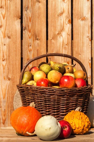 Cesta Mimbre Con Manzanas Peras Cosecha Otoñal Frutas Fruta Fresca — Foto de Stock