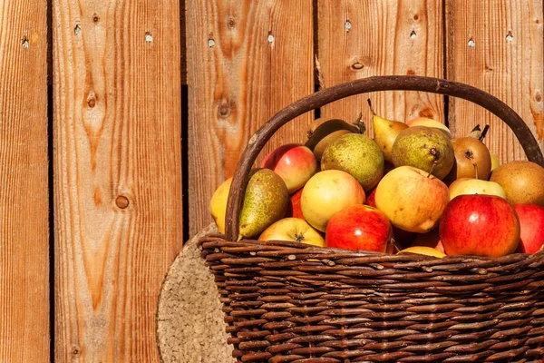 Cesta Mimbre Con Manzanas Peras Cosecha Otoñal Frutas Fruta Fresca — Foto de Stock