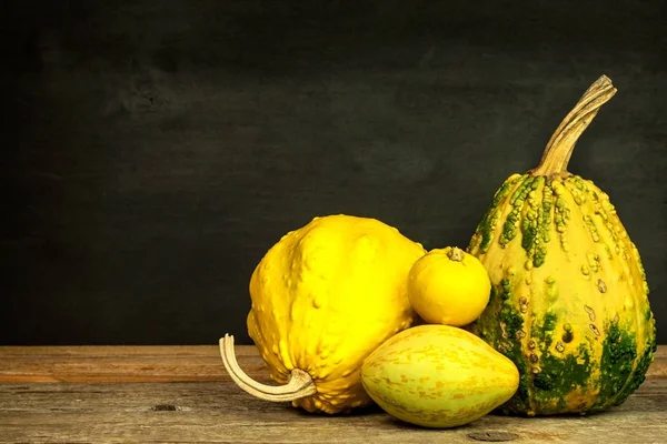 Thanksgiving background. Thanksgiving day or seasonal autumnal. Pumpkins against a rustic, weathered wood background. Autumn pumpkins on wooden table. View with copy space