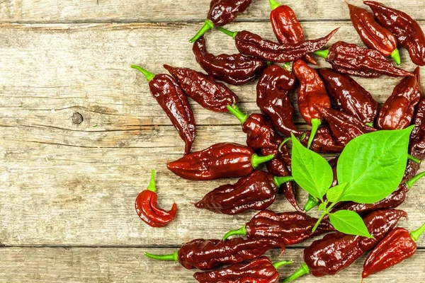 Peperoncino Fondo Legno Peperoncino Extra Piccante Naga Bhut Jolokia Chocolate — Foto Stock