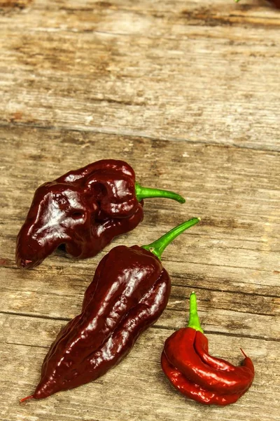 Piment Sur Fond Bois Piment Fort Extra Naga Bhut Jolokia — Photo