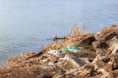Plastik atık Çek Cumhuriyeti'nde Gölü kıyısında. Çevre kirliliği. Plastik atık geri dönüşüm.
