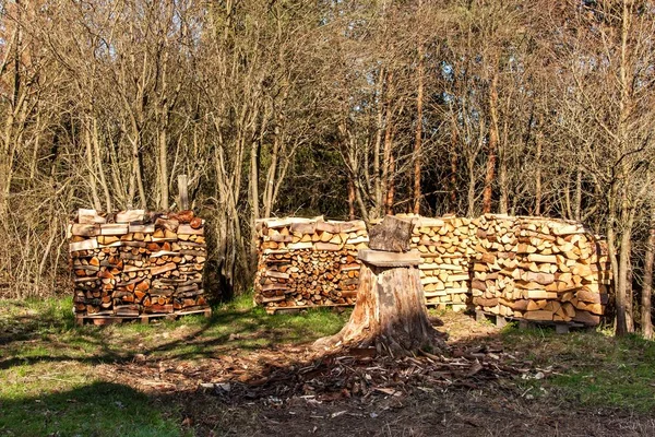 Brennholz im Garten gestapelt. Vorbereitung auf den Winter. Arbeit im Wald. Frühlingsabend im Garten. — Stockfoto