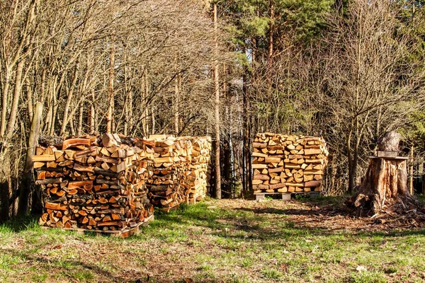 Stacked firewood in the garden. Preparing for the winter. Work in forest. Spring evening in the garden. — Stock Photo, Image