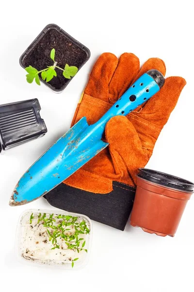 Garden tools. Gloves and scoop. Growing vegetables on the farm. Planting tomatoes. Utilities gardener. — Stock Photo, Image