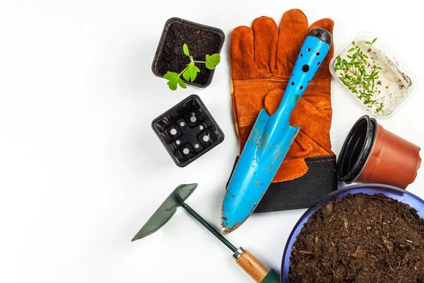 Εργαλεία κήπου. Γάντια και μεζούρα. Καλλιέργεια λαχανικών στη φάρμα. Φυτεύω ντομάτες. Υπηρεσίες κηπουρού. — Φωτογραφία Αρχείου