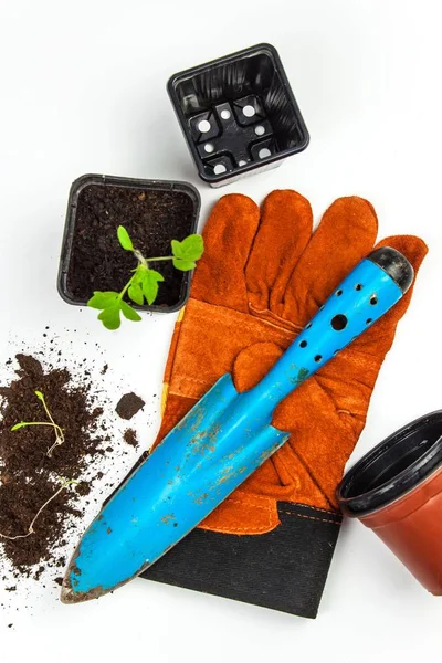 Εργαλεία κήπου. Γάντια και μεζούρα. Καλλιέργεια λαχανικών στη φάρμα. Φυτεύω ντομάτες. Υπηρεσίες κηπουρού. — Φωτογραφία Αρχείου