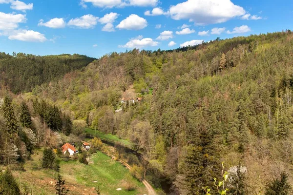 Valley with the river in the Czech Republic. Spring day in nature. View of the valley on the river. Wooded hills. — Stock Photo, Image