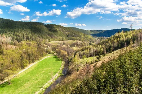 Tal mit dem Fluss in der Tschechischen Republik. Frühlingstag in der Natur. Blick auf das Tal am Fluss. bewaldete Hügel. — Stockfoto