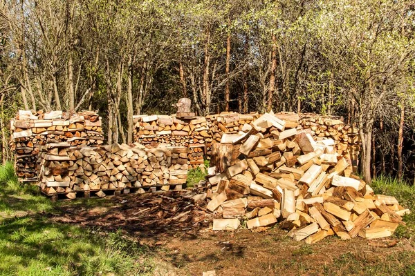 Firewood on a pile. Preparing for the winter. Green house heating. Farm life. Wood cutting. — Stock Photo, Image