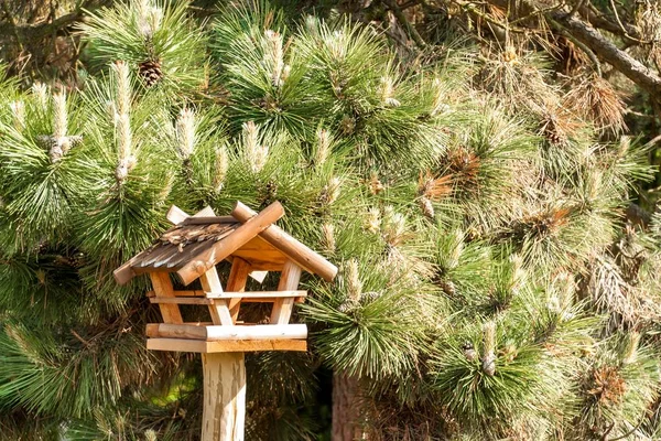 Krmítko dřevěných ptáků poblíž lesa. Krmí ptáky. Podavače domácí výroby. — Stock fotografie