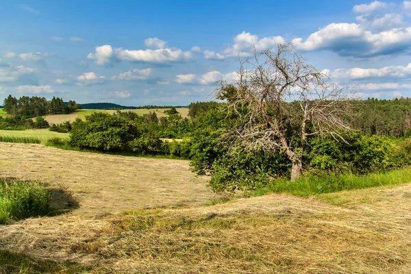 Nyklippade ängar i Tjeckien-Europa. Jordbruks landskapet. Sommar dag på gården. — Stockfoto