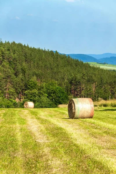 Haymaking on the field in the Czech Republic - Europe. Agricultural landscape. Hot summer day on the farm. — Stock Photo, Image