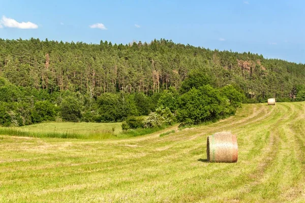 Haymaking on the field in the Czech Republic - Europe. Agricultural landscape. Hot summer day on the farm. — Stock Photo, Image