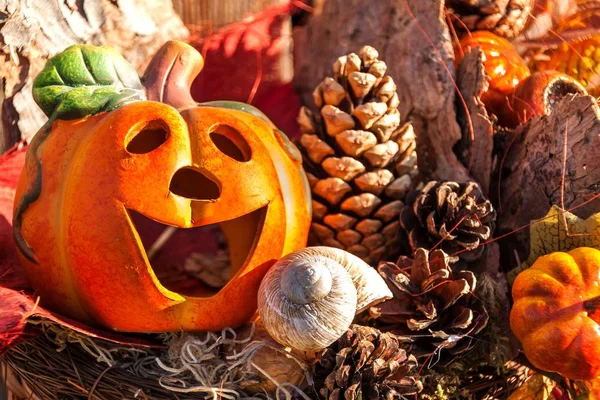 Scary pumpkin. Halloween background decorated holidays festive concept. Jack o lantern pumpkin halloween decorations. Autumn morning on the terrace.