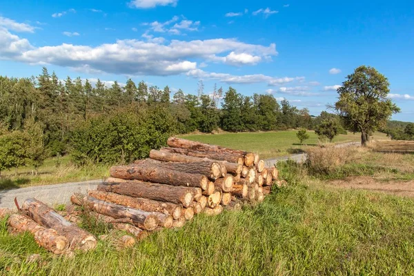 Corta troncos de pino al borde de la carretera. Industria maderera. Madera para calefacción ecológica. Preparándose para el invierno. Montón de madera . —  Fotos de Stock