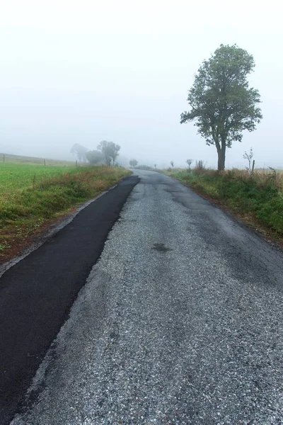 Ranní podzimní mlha na venkovské cestě. Podzimní počasí. Nebezpečná cesta. Mlhavý den. — Stock fotografie