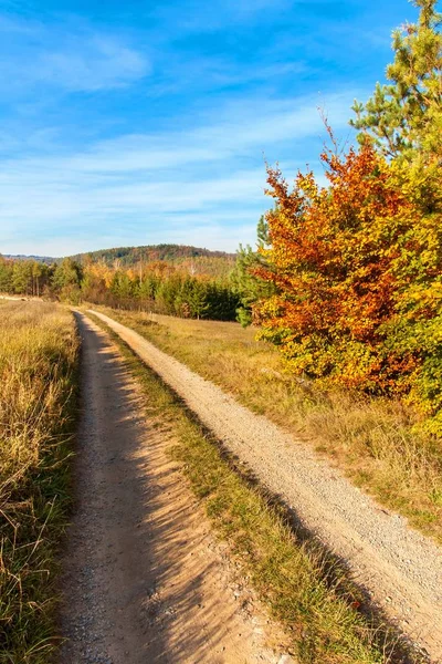 Colors of Autumn. Sunny autumn evening. Autumn landscape in the Czech Republic. A lovely evening.