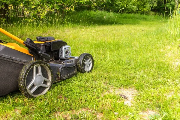 Cortacésped Césped Verde Jardín Cerca Del Bosque Máquina Para Cortar — Foto de Stock